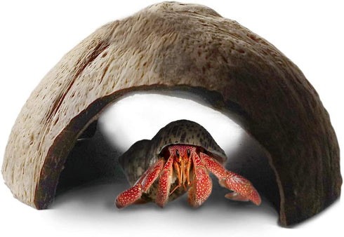 SunGrow Hermit Crab Huts, 5x3 Inches, Arthropod's Coconut Hide, Spacious Coco Tunnel, Use as Hermit Cave or Climber, 1-Pc