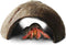SunGrow Hermit Crab Huts, 5x3 Inches, Arthropod's Coconut Hide, Spacious Coco Tunnel, Use as Hermit Cave or Climber, 1-Pc