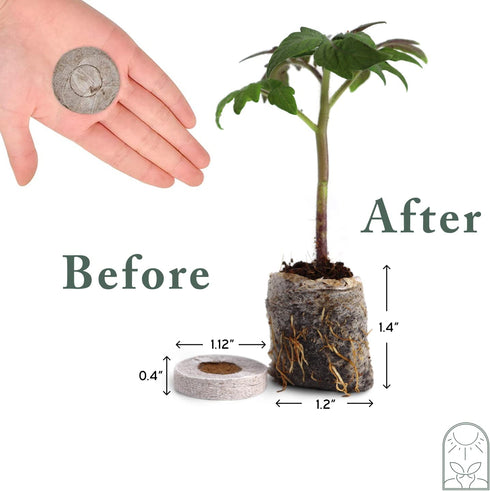 Window Garden Fiber Soil Direct Plant Seed Starters (36mm) 48 Pods - use with our Seed Starter Kit or Any Tray. Expands with Water, Grow Herbs, Flowers and Vegetables. No Messy Soil, Easy,Successful