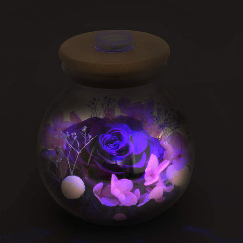 Preserved Real Rose Eternal Rose Flowers Purple with Led Mood Light, Forever Romantic Gift for Valentine's Day, Anniversary, Christmas, Mother's Day and Birthday