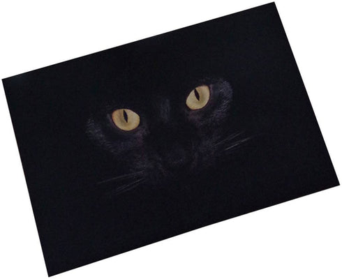 ChezMax Out Doormat Non-Slip Door Mat Waterproof Rugs Indoor Carpet Universal Welcome Mat Front Door Mud Absorbent for Floor Entrance Bath Kitchen Entryway Black Cat 16" X 23"