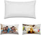 4 PCS Sublimation Blanks White Short Plush Pillow Cases Cushion Cover Throw Pillow Covers 12 x 20 Inch for Sublimation Printing Sofa Couch DIY Blanks New Year Pillow Case No Pillow Insert