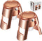 HYZ Champagne Stoppers - Stainless Steel Sparkling Wine Bottle Stopper with Pure Silicone Air Tight Seal - Professional Wine Saver for Champagne?Prosecco and Cava (2Pack Rose Gold)
