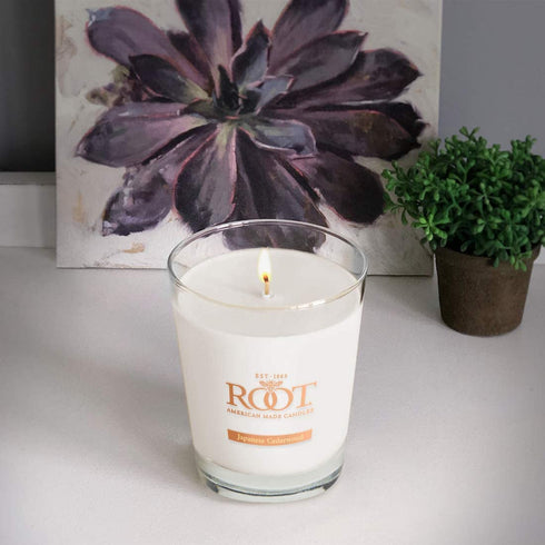 Root Candles Honeycomb Veriglass Scented Beeswax Blend Candle, Large, Japanese Cedarwood