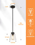 Eapudun Industrial Glass Pendant Light, Single Hanging Pendant Lighting, Matte Black with Clear Glass Shade Classic for Farmhouse, Entryway, Dining Room, Kitchen Island, Foyer , PDA1148-MBK