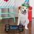 Ollypop Dog Milestone Chalkboard Sign - Birthday Photo Double Sided Reusable Keepsake Message with Stands for Adoptions, Birthday Parties, Holiday, Celebrations