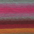 (1 Skein) Lion Brand Yarn Landscapes Yarn, Desert Spring