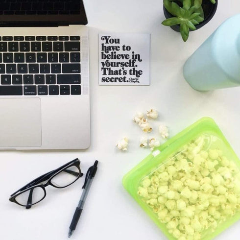 Stasher Platinum Silicone Food Grade Reusable Storage Bag, Lime (Sandwich) | Reduce Single-Use Plastic | Cook, Store, Sous Vide, or Freeze | Leakproof, Dishwasher-Safe, Eco-friendly | 28 Oz