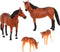 Terra by Battat - Quarter Horse Family - Miniature Toy Horse Family Figurines for Kids 3-Years-Old & Up (4 Pc)
