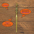 Potter Letter Opener Envelope Slitter Gifts for Christmas New Year