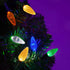 Anycosy C6 Christmas String Lights, 32.8 Ft 100 LED Battery Operated Strawberry Lights, Waterproof Indoor Outdoor 8 Modes Fairy Lights Christmas Decorations