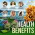 Organic Sea Moss Gummies for Adults & Kids - USA Made Irish Sea Moss Supplement - Raw Seamoss, Bladderwrack & Burdock for Immunity, Thyroid & Joints Support - 60 Non-GMO Seamoss Gummies Vegan