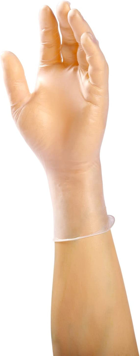 AMERCARE Anchor Vinyl Gloves XL Powder and Latex-Free (100 Pack)