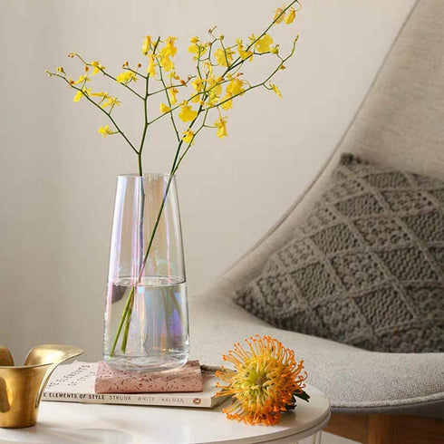 FUNSOBA Tall Clear Glass Vases for Flower Centerpieces Decorative 8.6 Inch (Clear 2 Pcs)