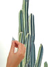 RoomMates RMK3860GM Cactus Peel and Stick Giant Wall Decals
