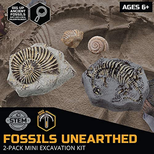 Discovery #MINDBLOWN Mini Fossil Dig Set, 2 Pack Excavation Kit, Interactive Archaeology Paleontology Experiment, Learn Science, Fun and Educational STEM Toy for Kids Ages 6 and Up