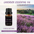 Lavender Essential Oil Organic for Diffuser, Skin, Soap & Candle Making - 100% Pure, Undiluted, Natural Aromatherapy Fragrance Oils 10ML - Christmas Gift Lavender Oil Essential Oil