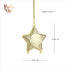 Pinky Up Star Shaped Tea Ball Loose Leaf Infuser with Chain Hook, Stainless Steel, Gold Finish