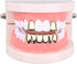 TSANLY Gold Grillz Mouth Teeth 24K Plated Gold Custom Fit Top & Bottom Set Caps Grillz for Women Gift + Extra Molding Bars + Microfiber Cloth