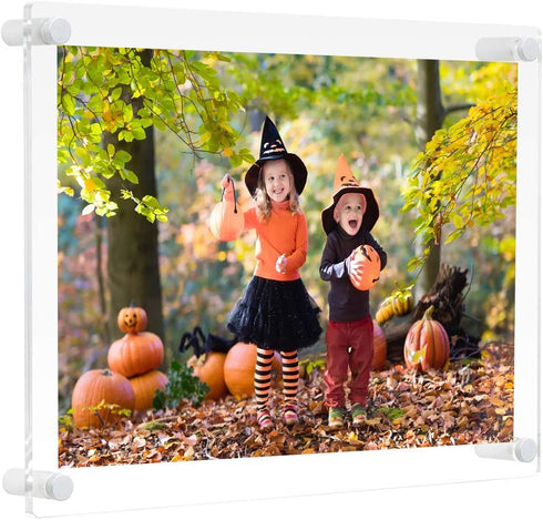 NIUBEE 8.5x11 Clear Acrylic Wall Mount Floating Picture Frame A4 Letter Size Photo for Document Certificate Sign Display -Double Panel (Full Frame is 9.4x13.4 inch)