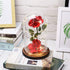 Beauty and The Beast Rose ,Rose Kit, Red Silk Rose and Led Light with Fallen Petals in Glass Dome on Wooden Base Valentine's Day Anniversary Birthday