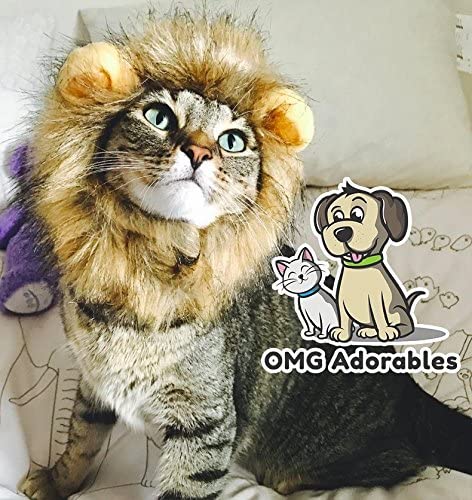 Lion Mane Costume for Cat (Cat) - Halloween Special