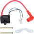 QAZAKY High Performance CDI Ignition Coil Compatible with 49cc - 50cc 60cc 66cc 80cc 2-stroke Engine Motor Motorized Bicycle Bike With Mounting Parts