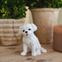 Boulevard East Concepts Maltese Breed Puppy Dog Collectible Figurine Statue