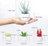 Veryhome Fake Succulent Plants Artificial Faux Succulents Mini Potted Plastic Succulents for Home Office Room Deco (Black Geometric Potted - 4pcs)