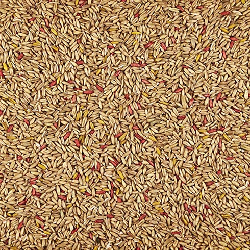 Kaytee Oat Groats Bird Treat,11-Ounce