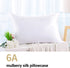 ZIMASILK 100% Mulberry Silk Pillowcase for Hair and Skin Health,Soft and Smooth,Both Sides Premium Grade 6A Silk,600 Thread Count,with Hidden Zipper,1pc(Standard 20''x26'',White)