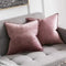 MIULEE Pack of 2 Decorative Velvet Throw Pillow Cover Soft Jam Pillow Cover Soild Square Cushion Case for Sofa Bedroom Car 18x 18 Inch 45x 45cm