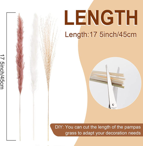 Pampas Grass, 65Pcs Natural Dried Pampas Grass Decor With 20Pcs Cream White Pampas Grass& 20Pcs Brown Pampas&25Pcs Pompous Grass,17.5"Bouquet For Dried Flowers Decor And Flower Arrangements Home Decor
