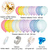 Pastel Balloon Garland Kit 202Pcs Rainbow Macaron Balloons Arch Kit with White Foil Fringe Curtain for Birthday Party Baby Shower Decorations