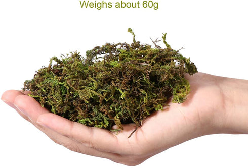 Wakauto 3 Packs Lifelike Artificial Moss Green Faux Lichen Fake Simulation Plants Floral Moss for Garden Lawn Crafts Wedding Decoration