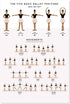 QSHPO Ballet Knowledge Posters Basic Ballet Movements Metal Signs Room Decor Retro Plaque Club School Home Wall Decor 12x16 Inches The Five Basic Ballet Positions 1 12 in x 16 in