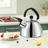 Tea Kettle Stovetop 2.1 Quart Mirror Finished Stainless Steel Whistling Teakettle For Stovetop Tea Pot with Folding Cool Grip Ergonomic Handle Small Tea Pot Water Boiler for Home Kitchen