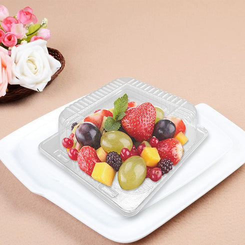 100Pcs Clear Plastic Take Out Containers,Square Hinged Food Container,Disposable Clamshell Dessert Trays Holders Boxes for Cake,Salad,Sandwiches,Hamburger,Pasta,Chips,5 x 4.7 x 2.8 Inch
