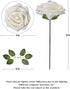 GeeSoft Valentine's Day Artificial Flowers Fake Roses 50 PCS w/Stem Rose Heads for Bouquets for Wedding Decorations Centerpieces Arrangements Party Home Decor (Cream White+Champagne, 50pcs)