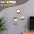 Small Floating Shelf for Wall, 4 Inch Wood Wall Shelves Display Ledges for Small Round Plant Wall Shelf Compact Style Decor Mini Hanging Display Shelves for Bathroom Livingroom Bedroom, Set of 4