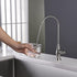 RULIA, Drinking Water Faucet,Water Filtration Faucet,Drinking Water Purifier Faucet, Kitchen Water Filter Faucet, Brushed Nickel, Stainless Steel, RB1032