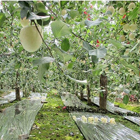 6 Pack High Silver Reflective Mylar Film, Garden Greenhouse Covering Foil Sheets Effectively Increase Plants Growth