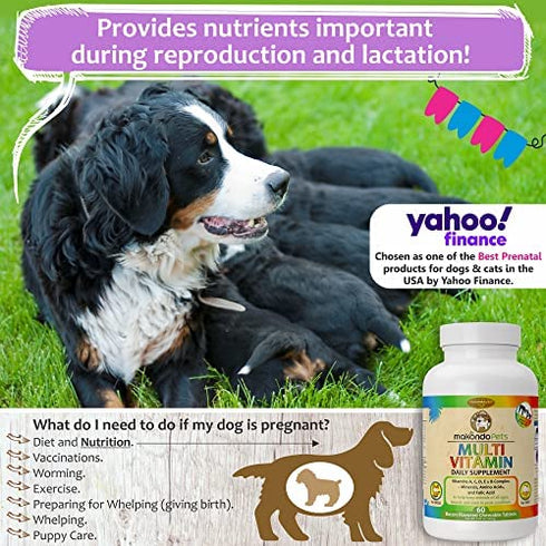 Multivitamin for Dogs and Cats. Prenatal Dog Vitamins, Minerals and Amino Acids. Senior Dog Vitamins and Supplements for dogs & cats. Puppy Vitamins for your dog allergy relief-Complete Dog Supplement