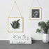 Daisylily 8x8 Inch Brass Hanging Photo Frame, Copper Glass Picture Frames Clip Modern Wall Decor Plant Specimen Artwork Ornament Display Gold Square