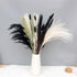 Black Dried Pampas Grass White Pampas Grass Plants D©cor Boho Artificial Pampas Grass Branches for Wedding Flower Arrangements Home D©cor