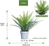 Hejdeco Artificial Fern Potted Plants 2 Pack, Fake Boston Fern, 19pcs Greenery Foliage, Up to 20-inch Wide, Perfect for Home Office Decor (Grey)