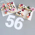 RAYNAG 0-8 Number Cake Stencils Flat Plastic Templates Cutting Number Mold 12 Inch Numerical Stencils for DIY Numbers Cakes/Cookies
