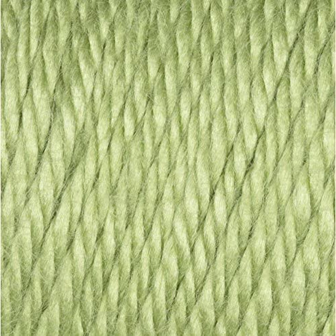 Caron Simply Soft Collection Yarn, 6oz, Gauge 4 Medium, 100% Acrylic- Pistachio - Machine Wash & Dry