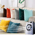RBSC Home Pack of 2 Velvet Pillow Covers Decorative Square Pillowcase Soft Solid Cushion Case with Hidden Zipper for Sofa Bedroom 18 X 18 Inch