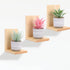 Small Floating Shelf for Wall, 4 Inch Natural Wood Wall Shelves Display Ledges for Small Plant Wall Shelf Compact Style Decor Mini Hanging Display Shelves for Livingroom Bedroom, Pine Wood, Set of 3